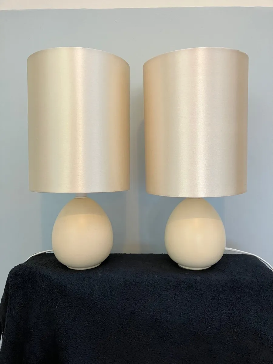 Cream Table Lamps and Ceiling Shade - €10 - Image 2