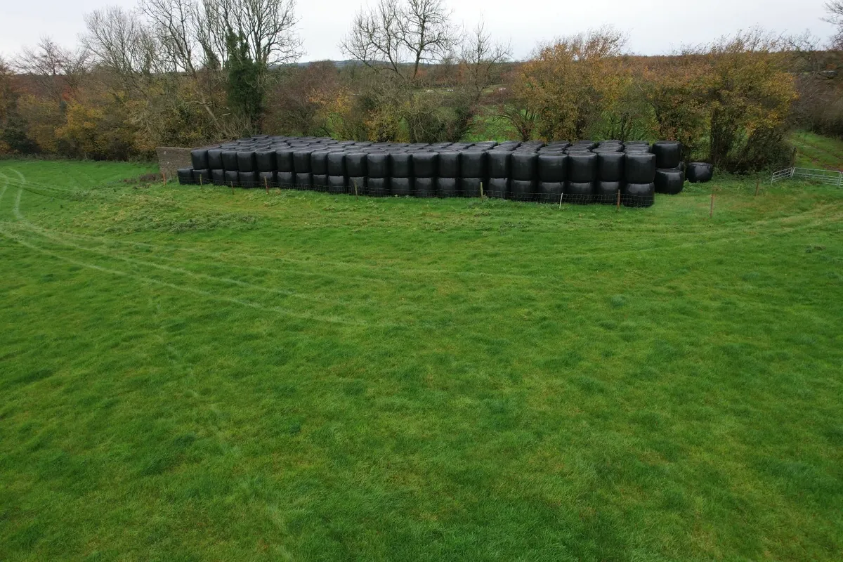 Silage - Image 1