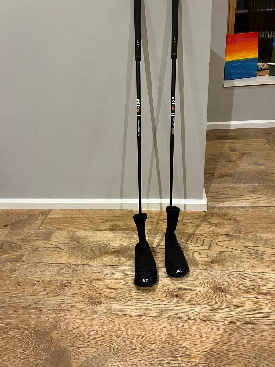 Left handed hybrids - Image 1