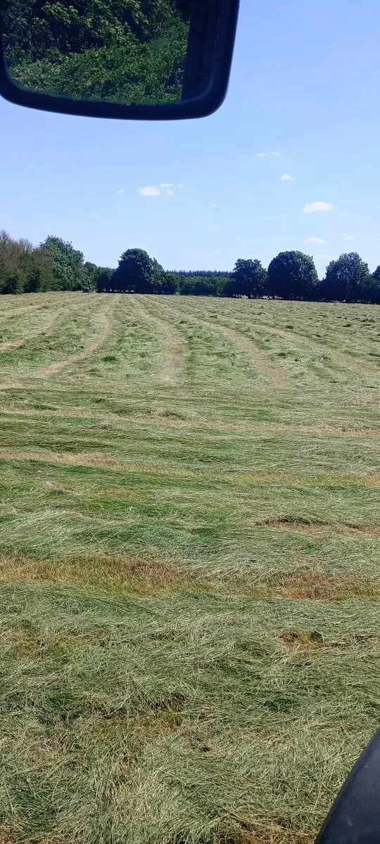 Silage - Image 4