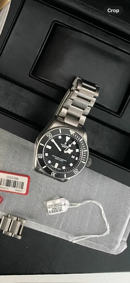 Tudor Pelagos - Image 2