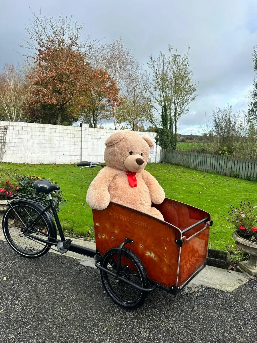 Bicycle cargo bike - Image 1