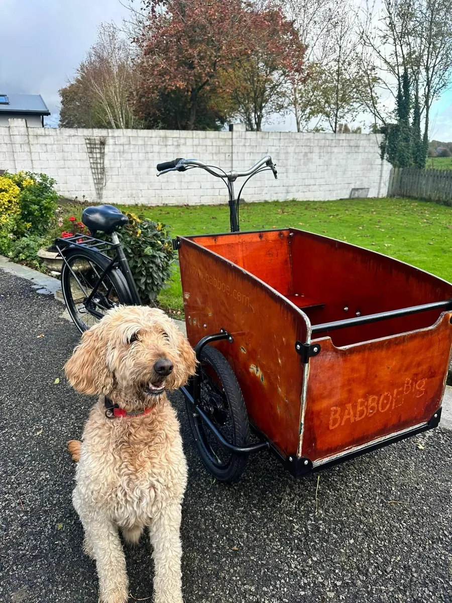 Bicycle cargo bike - Image 4
