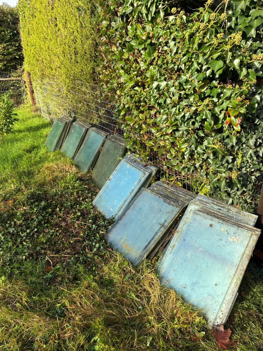 Greenhouse Glass - Image 3