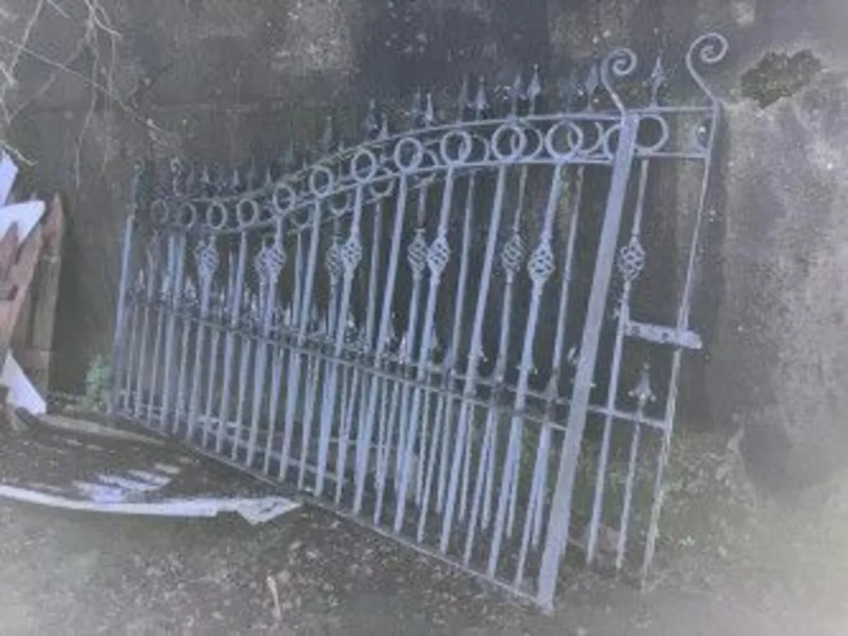 Entrance gates - Image 3