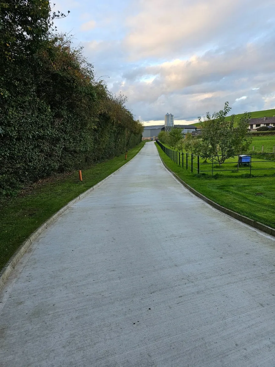 Leaf vacuum/blower - Image 2