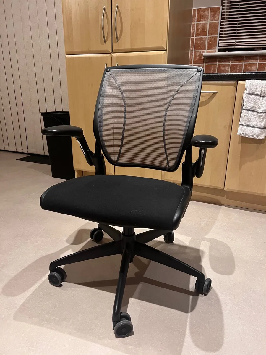Humanscale Diffrient World Office Chair - Image 1