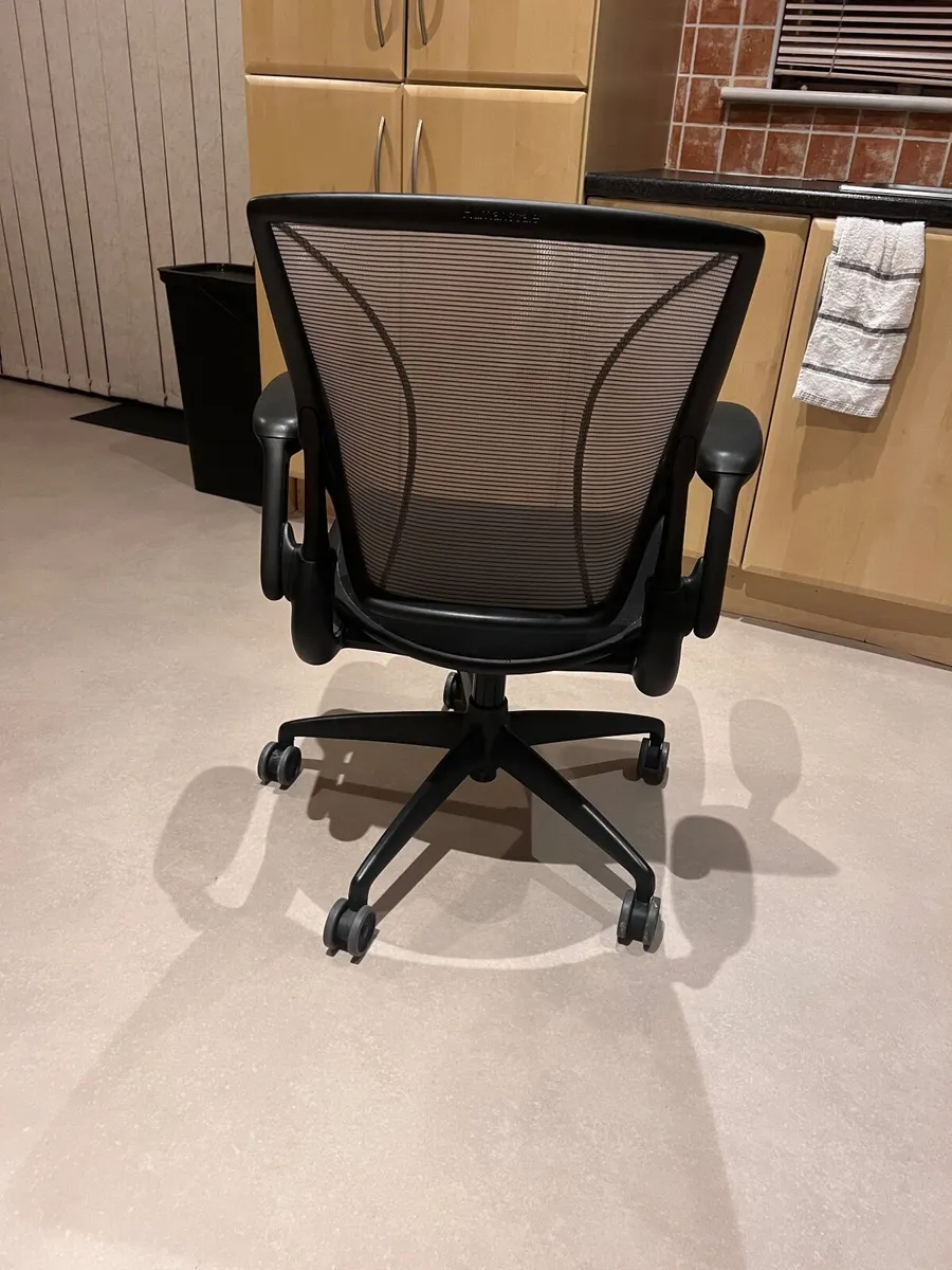 Humanscale Diffrient World Office Chair - Image 3