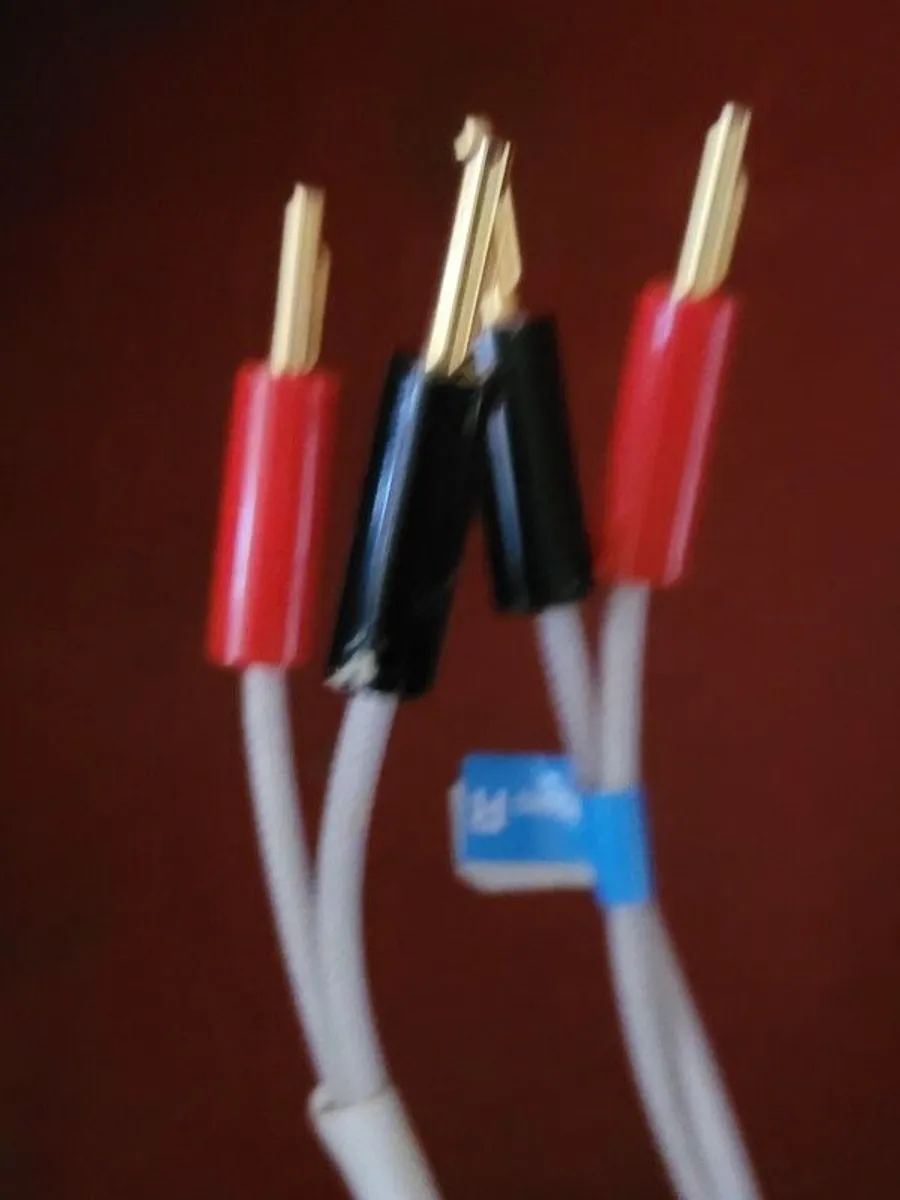 QED Silver Anniversarry XT Speaker Cable and QED QUNEX P-SW - Image 2