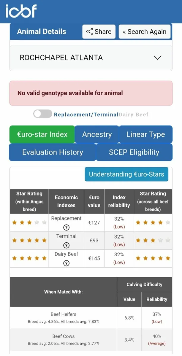 PBR Angus Bull - Image 3