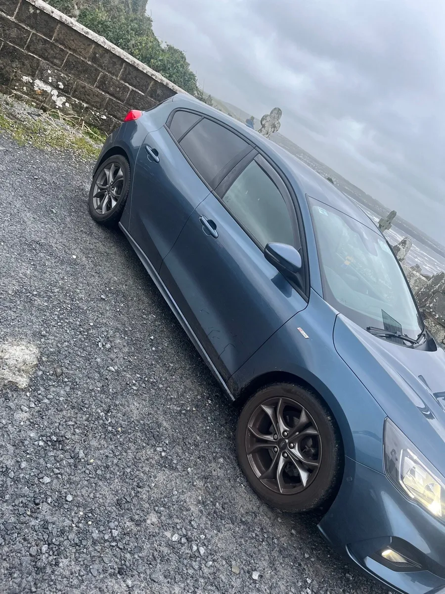 211 Stline focus - Image 2