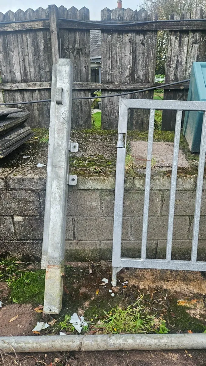 Galvanised stainless steel gate - Image 2