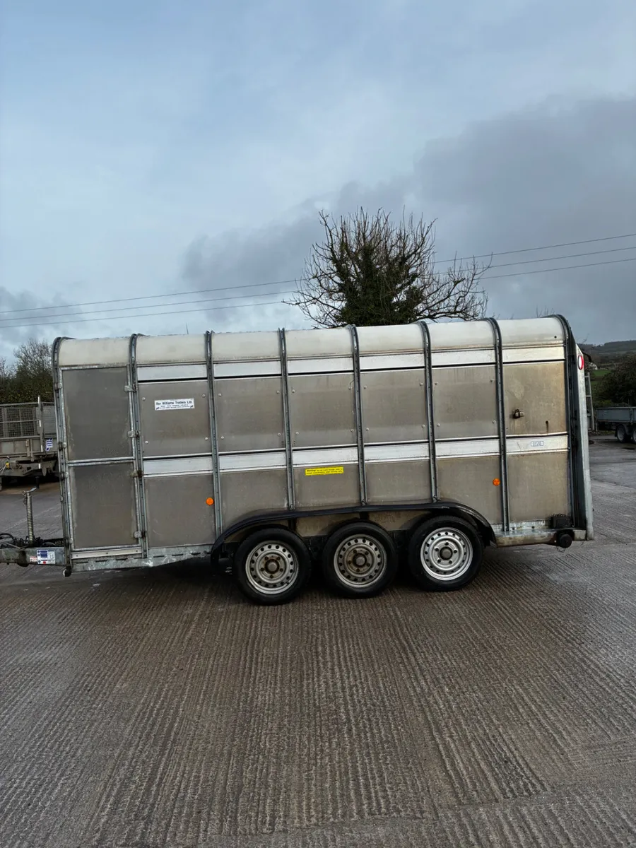 2019 Ifor Williams cattle box no vat - Image 3