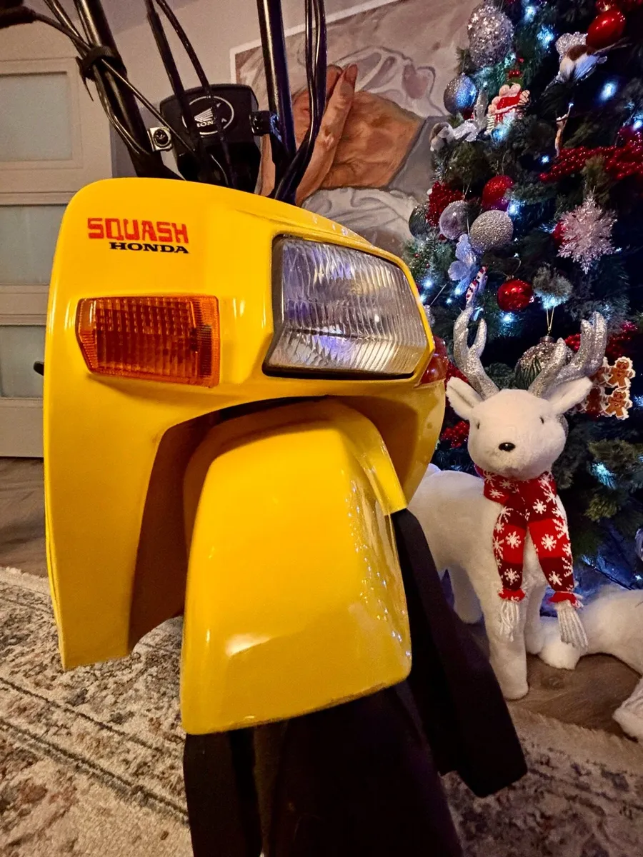 1980 Ultra rare Honda Squash fully restored - Image 3