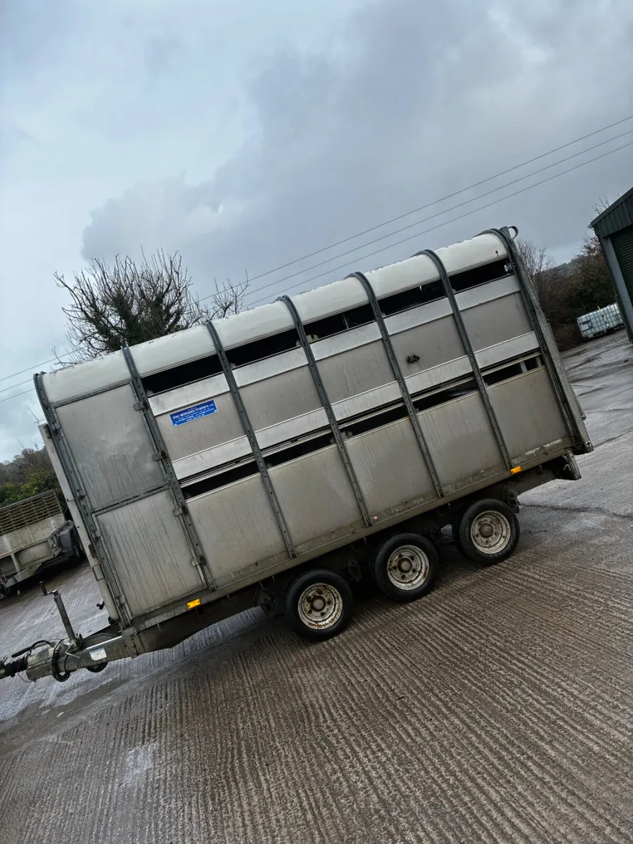 Ifor Williams 12ft tri axel sheep trailer - Image 4
