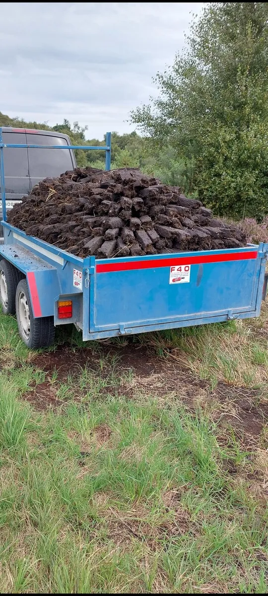 F40 8x4 trailer - Image 2