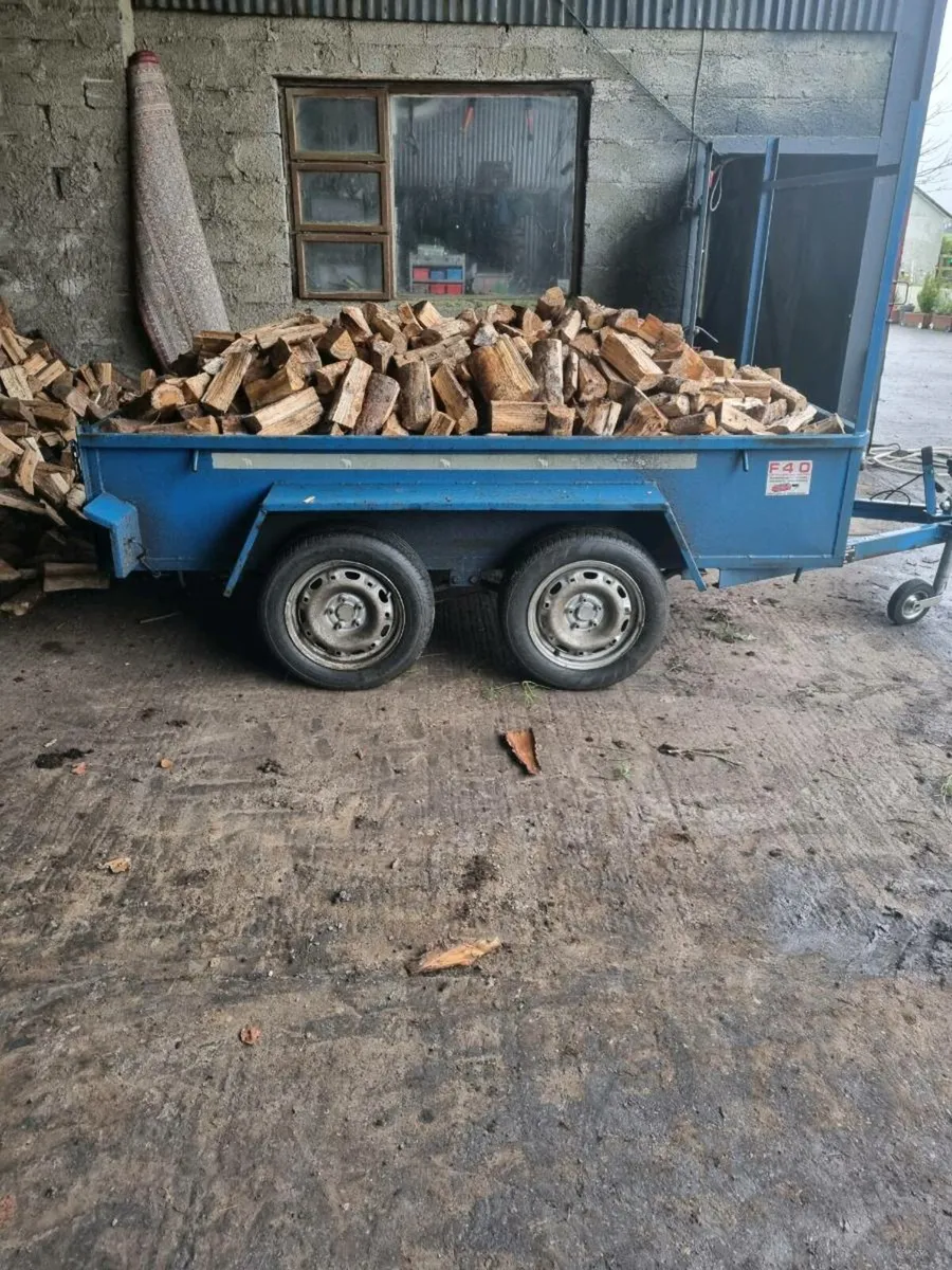 F40 8x4 trailer - Image 3