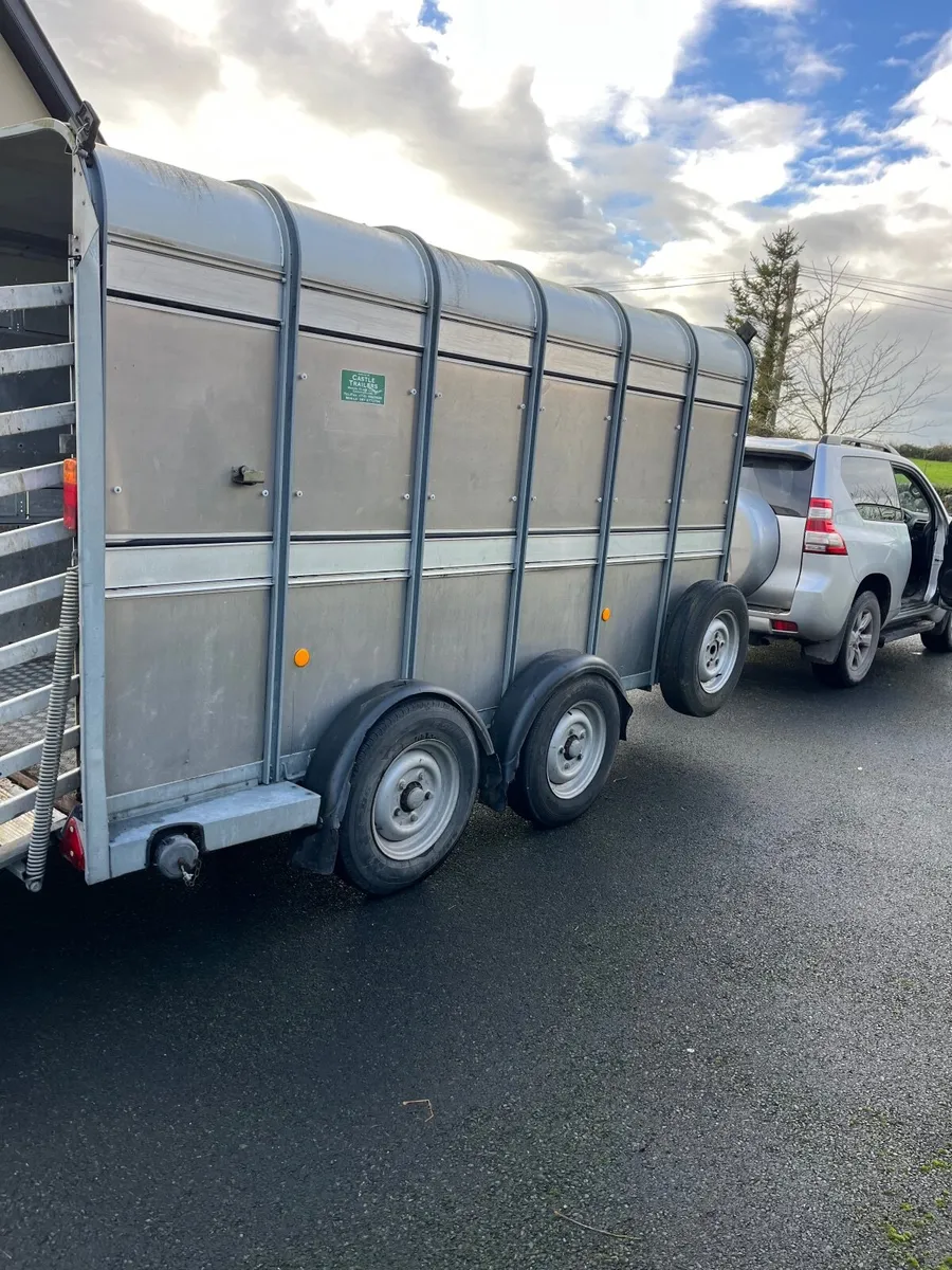 Ifor Williams 12x6 Livestock Trailer - Image 2