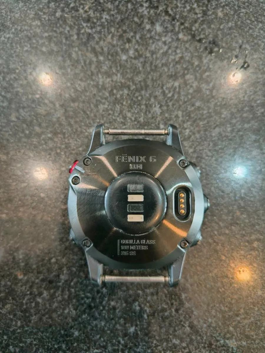 Garmin Fenix 6 - Image 4