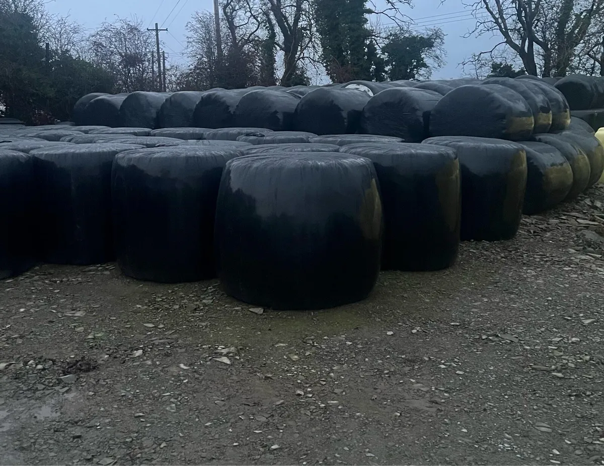 Silage Bales