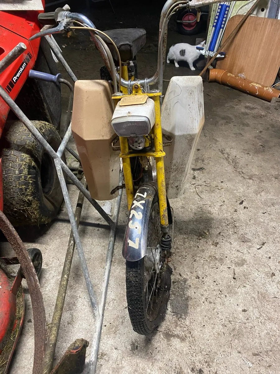 Moped bike - Image 2