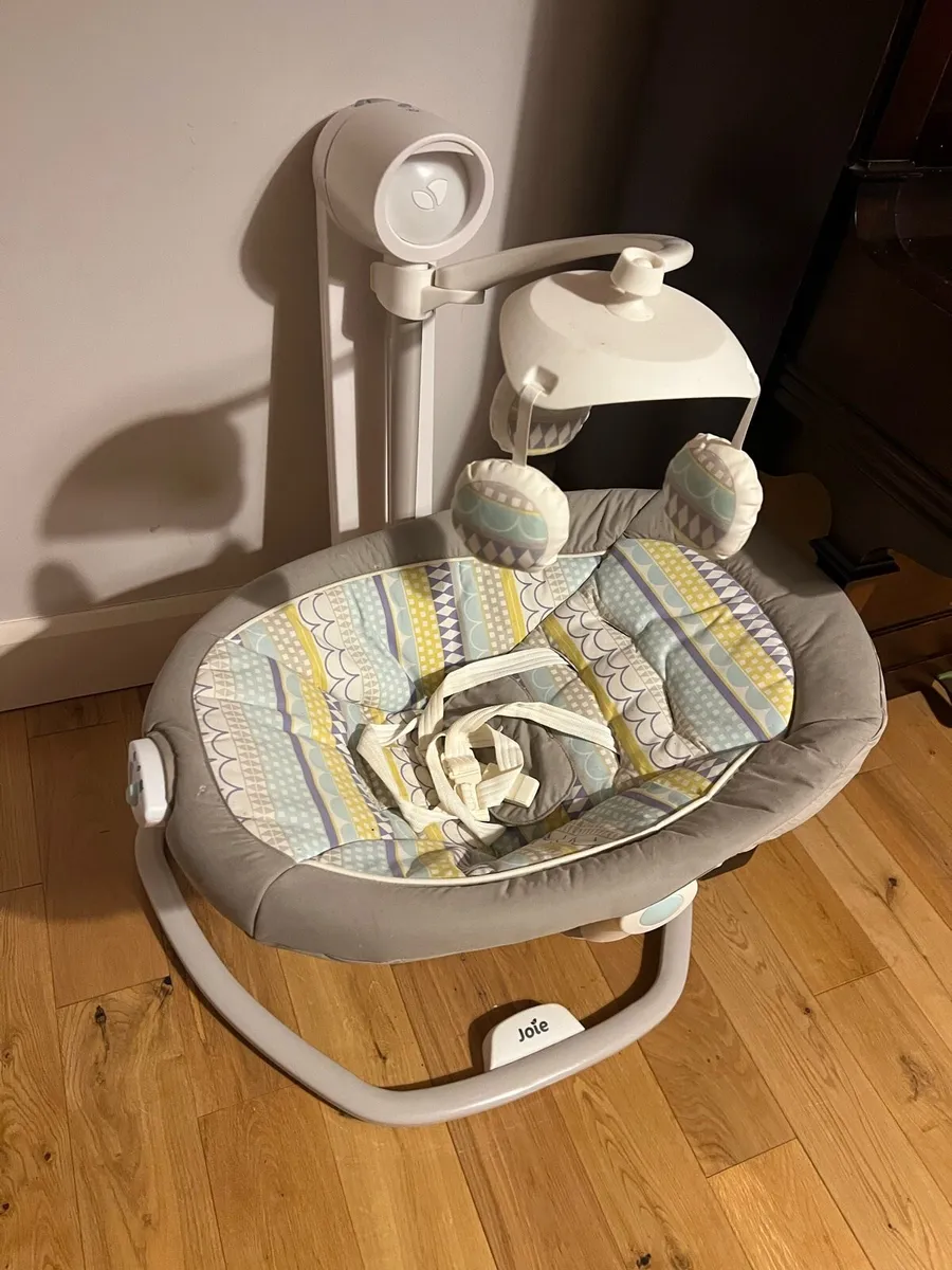 Baby Joie Swing