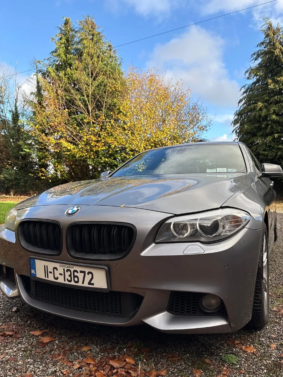 BMW 5-Series M Sport 2011 - Image 2