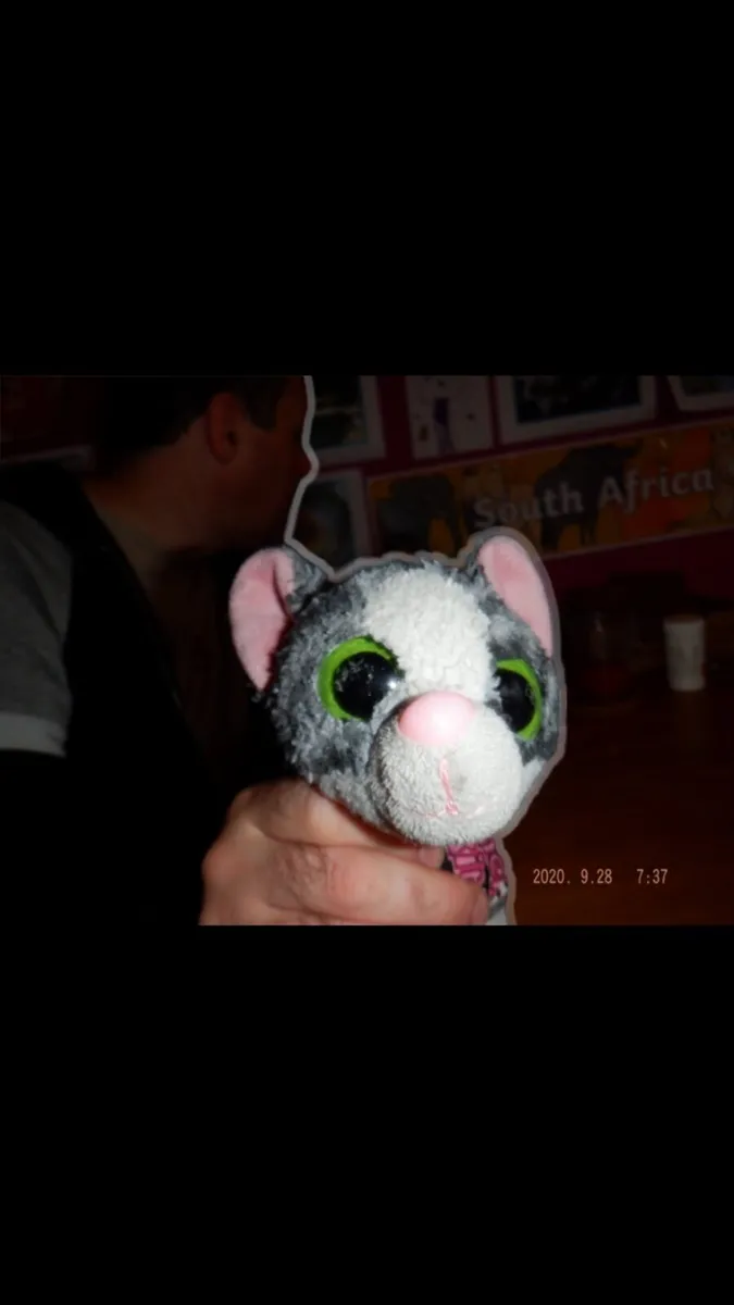 Grey and white stuffed toy cat pencil case - Image 3
