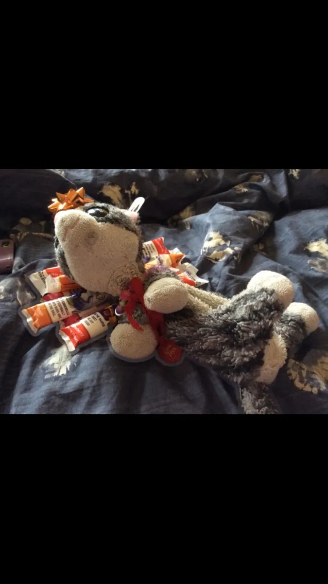 Grey and white stuffed toy cat pencil case - Image 4