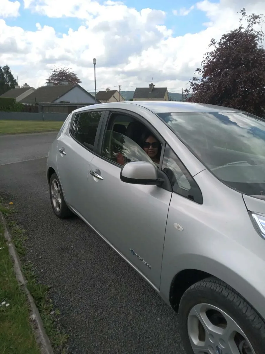 Nessan leaf - Image 4