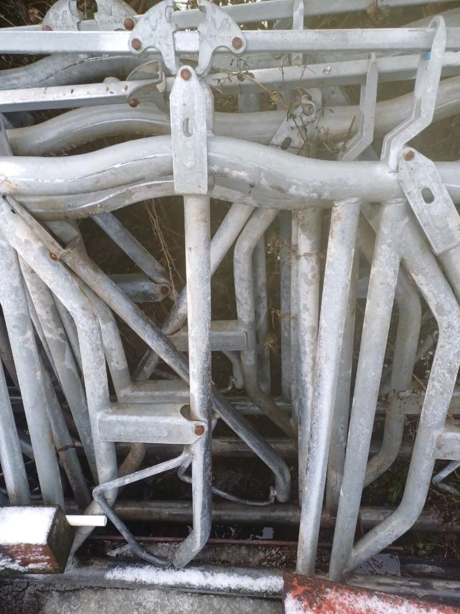 self locking head yokes - Image 2