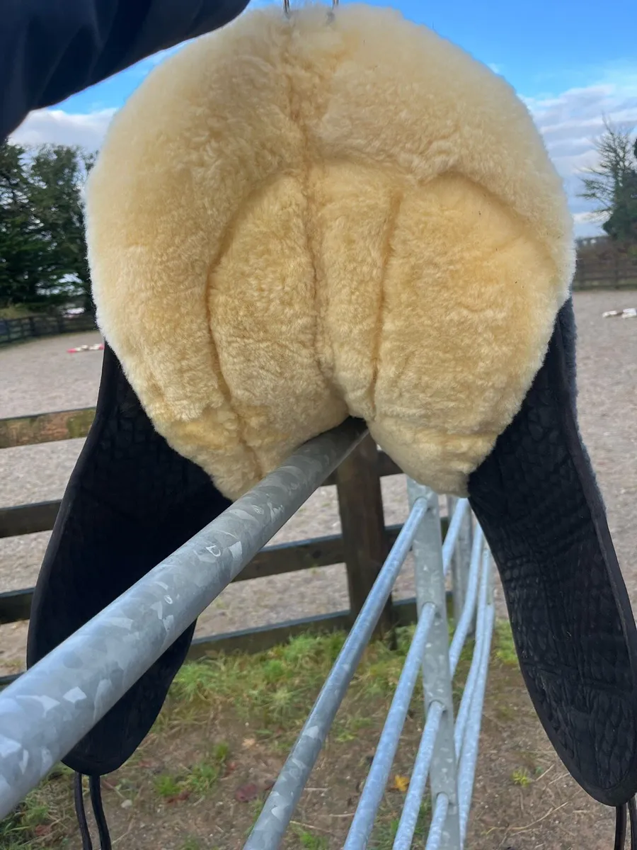 Christ Lammfelle Bareback Pad - Image 3