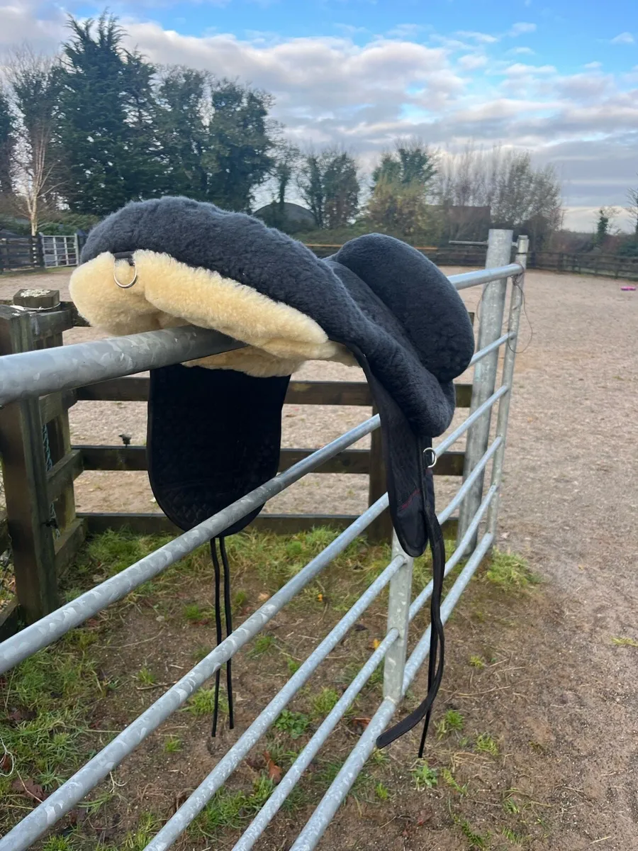 Christ Lammfelle Bareback Pad - Image 4