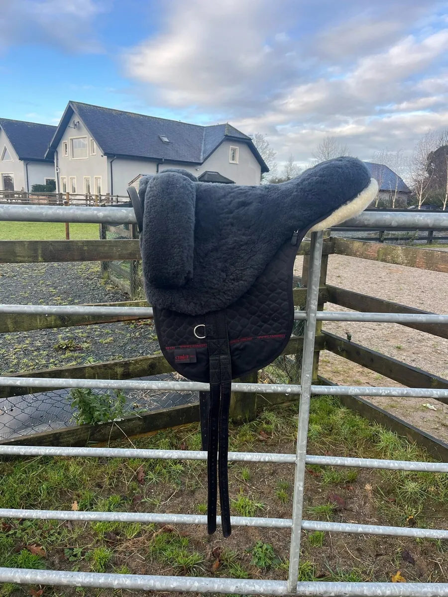 Christ Lammfelle Bareback Pad - Image 1