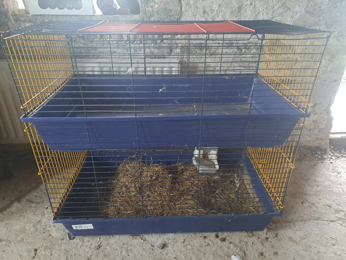 Rabbit hutch/cage