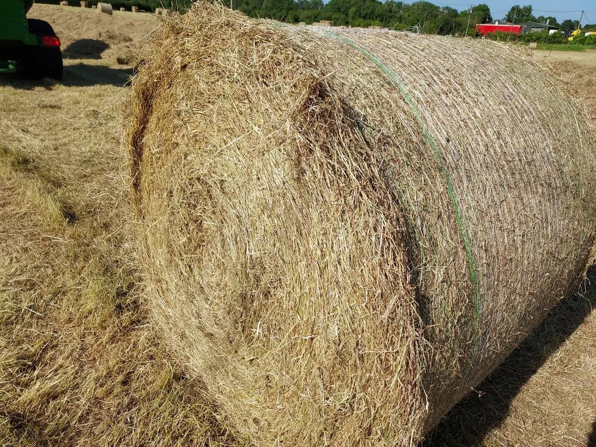 Hay, Haylage & Straw - Image 4