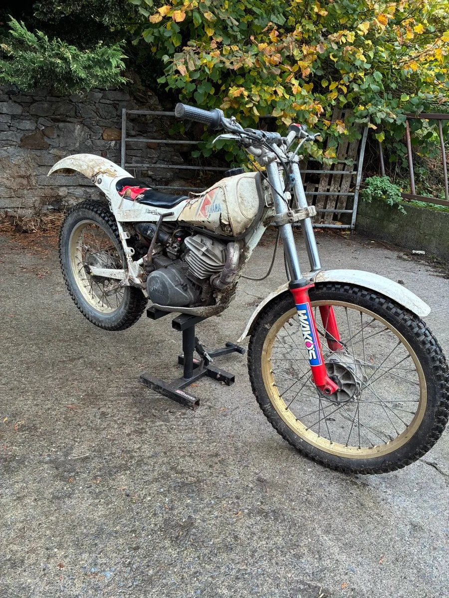 Yamaha TY 250 - Image 1