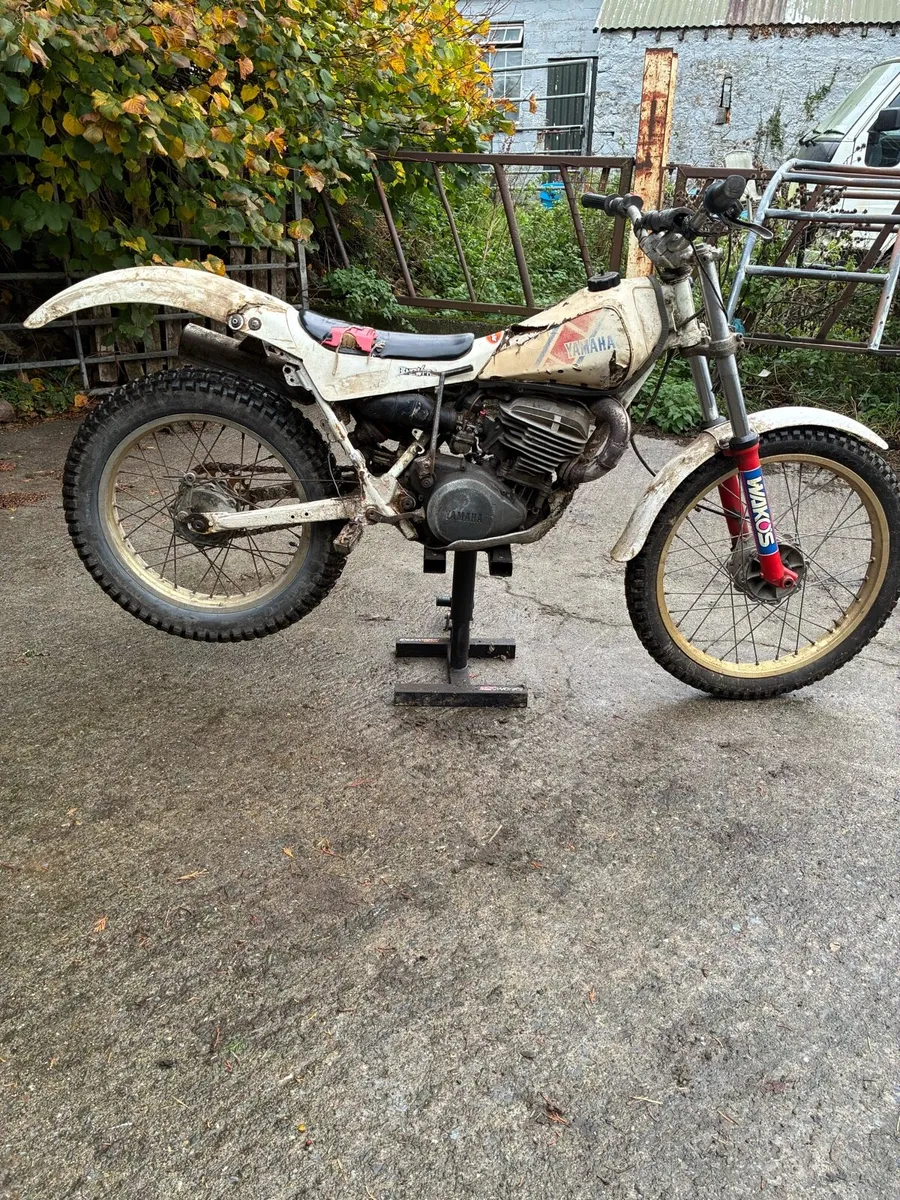 Yamaha TY 250 - Image 2