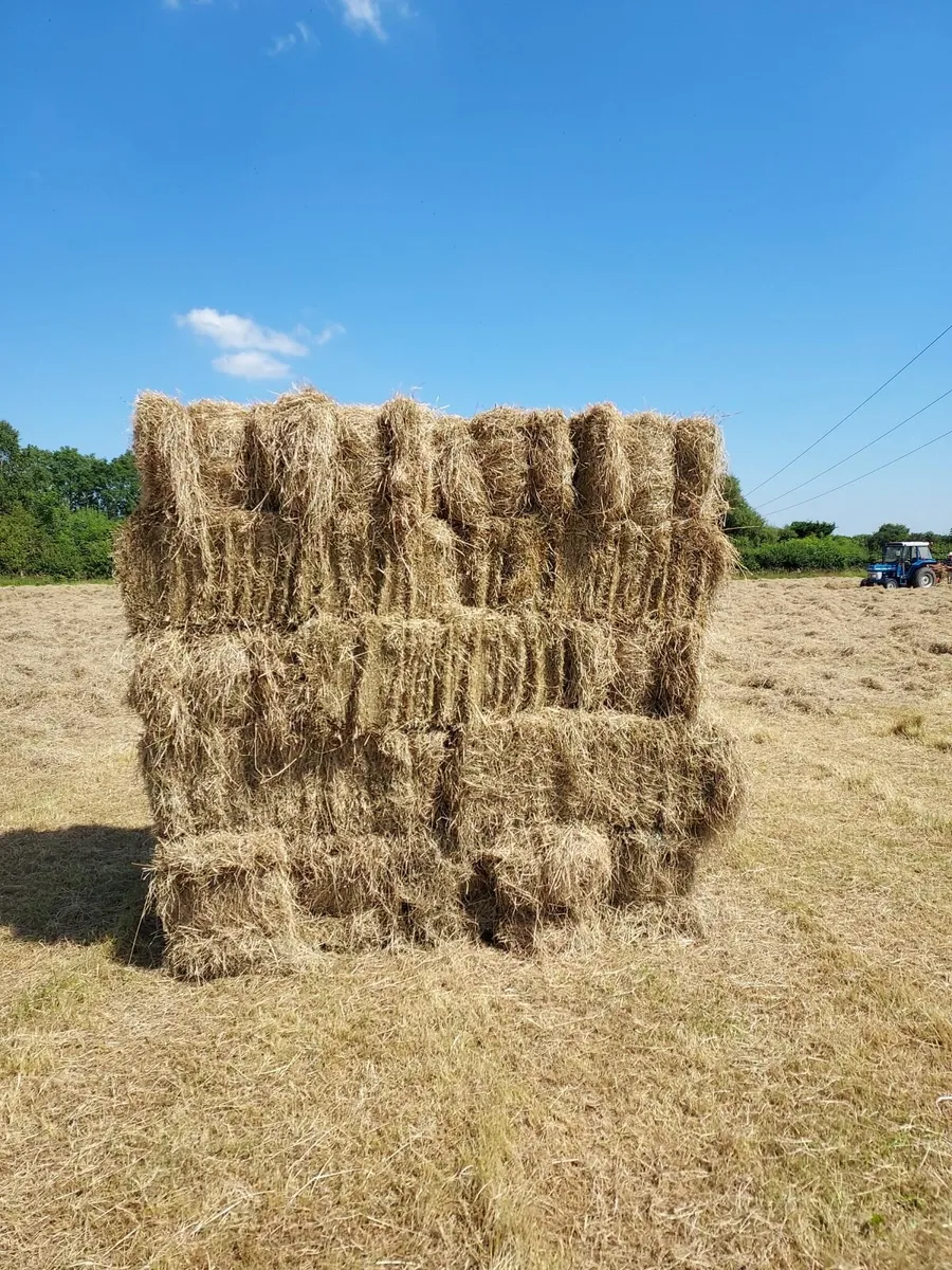 Hay, Haylage & Straw - Image 1