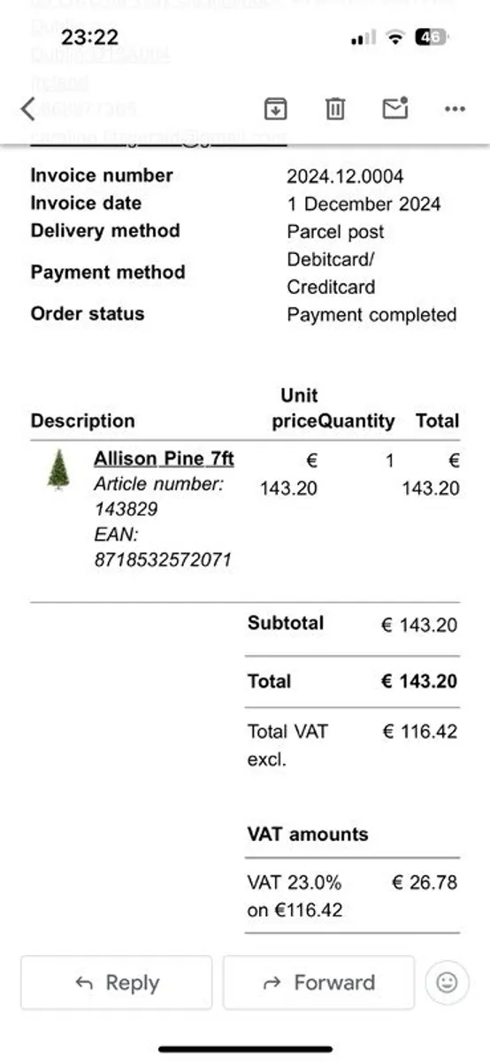 Christmas Tree for Sale - Image 3