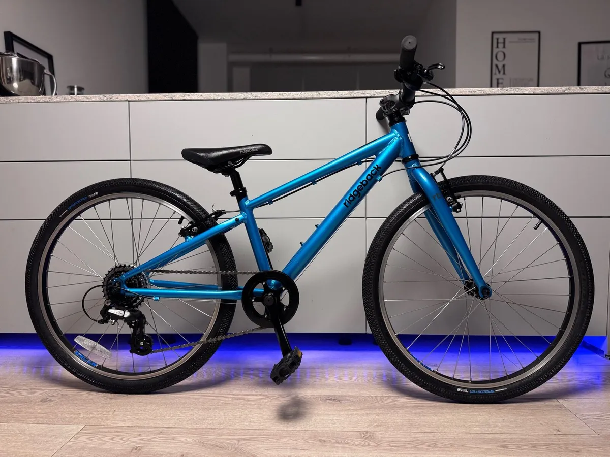 Ridgeback Dimension Junior Bike 24 inch - Image 1