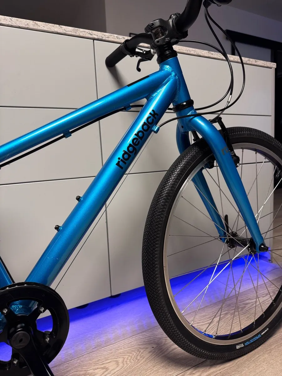 Ridgeback Dimension Junior Bike 24 inch - Image 3