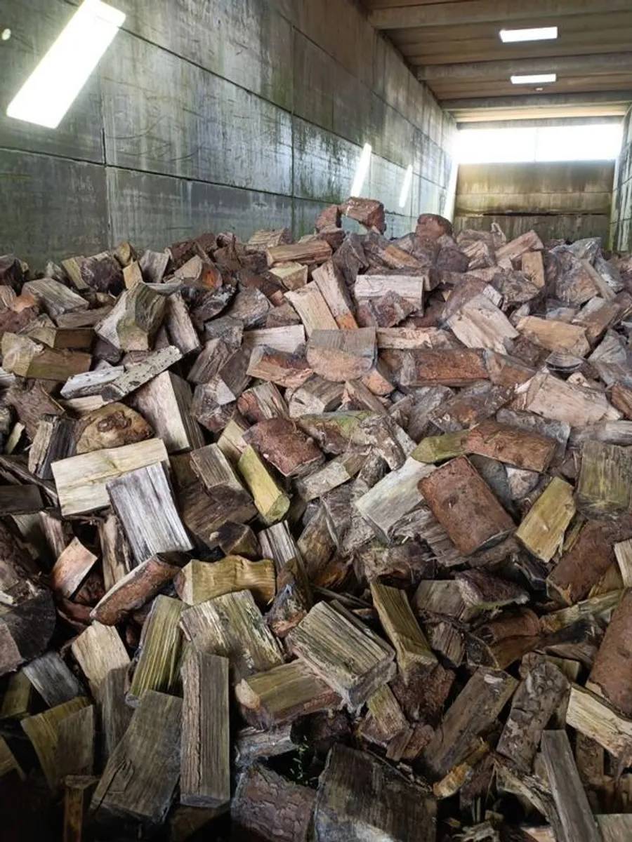 Firewood - Image 4