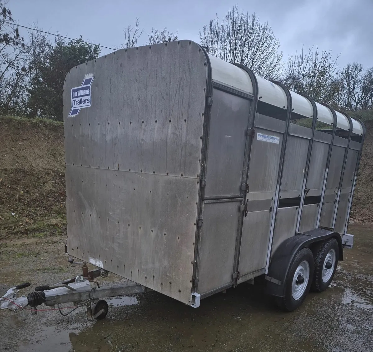 Ifor Williams 12 x 6 cattle trailer - Image 2