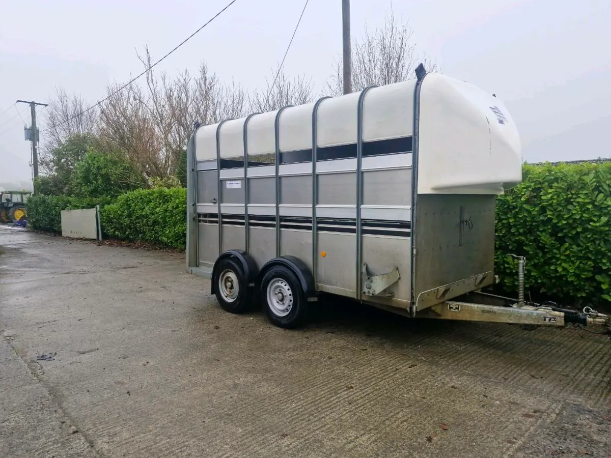 Ifor Williams Livestock Trailers horses - Image 2