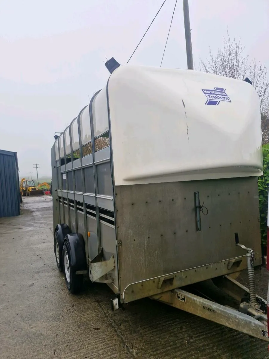 Ifor Williams Livestock Trailers horses - Image 3