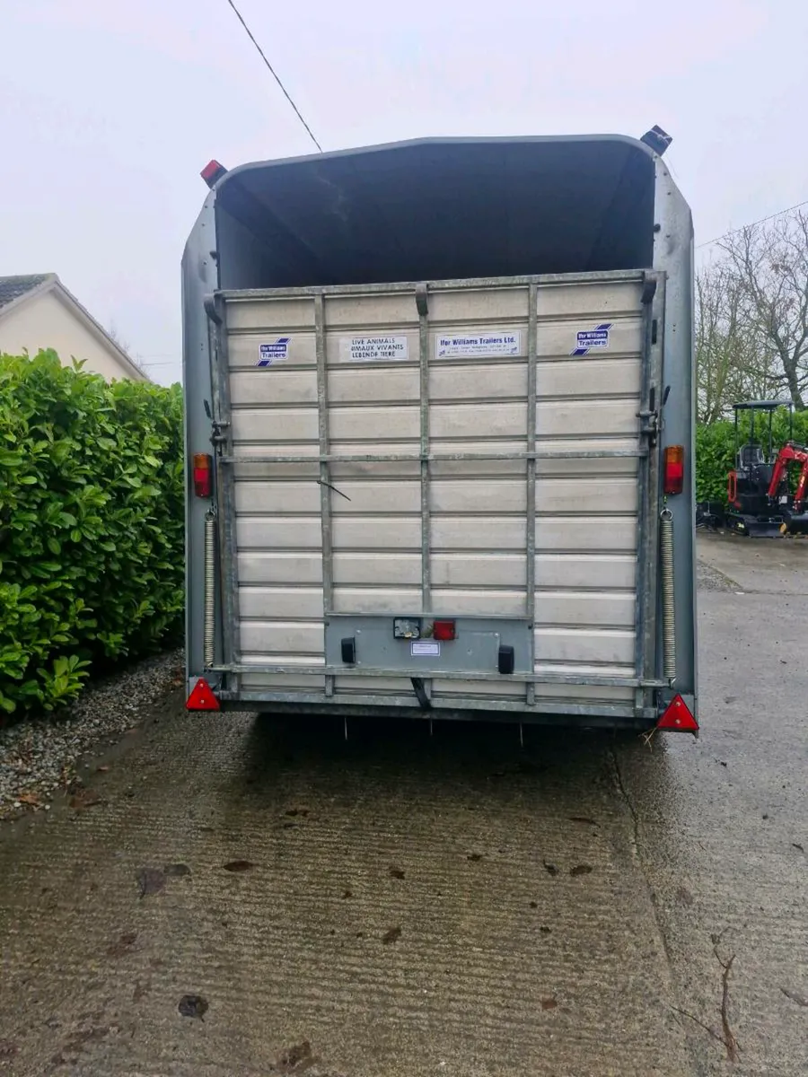 Ifor Williams Livestock Trailers horses - Image 4