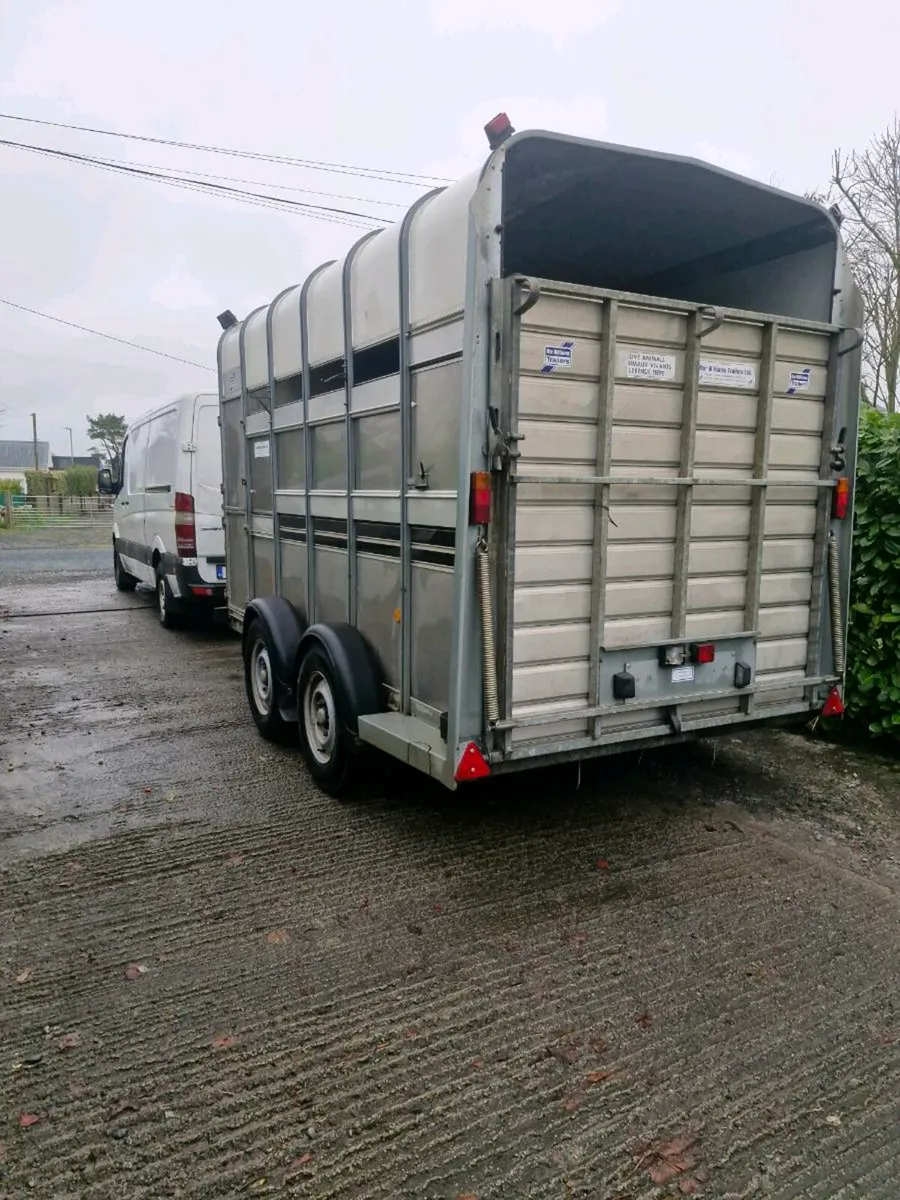 Ifor Williams Livestock Trailers horses - Image 4
