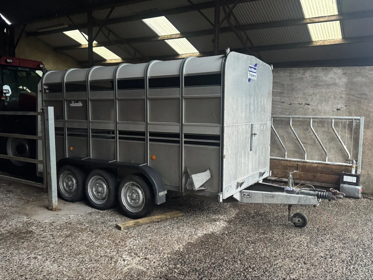 Ifor Williams Livestock Trailer