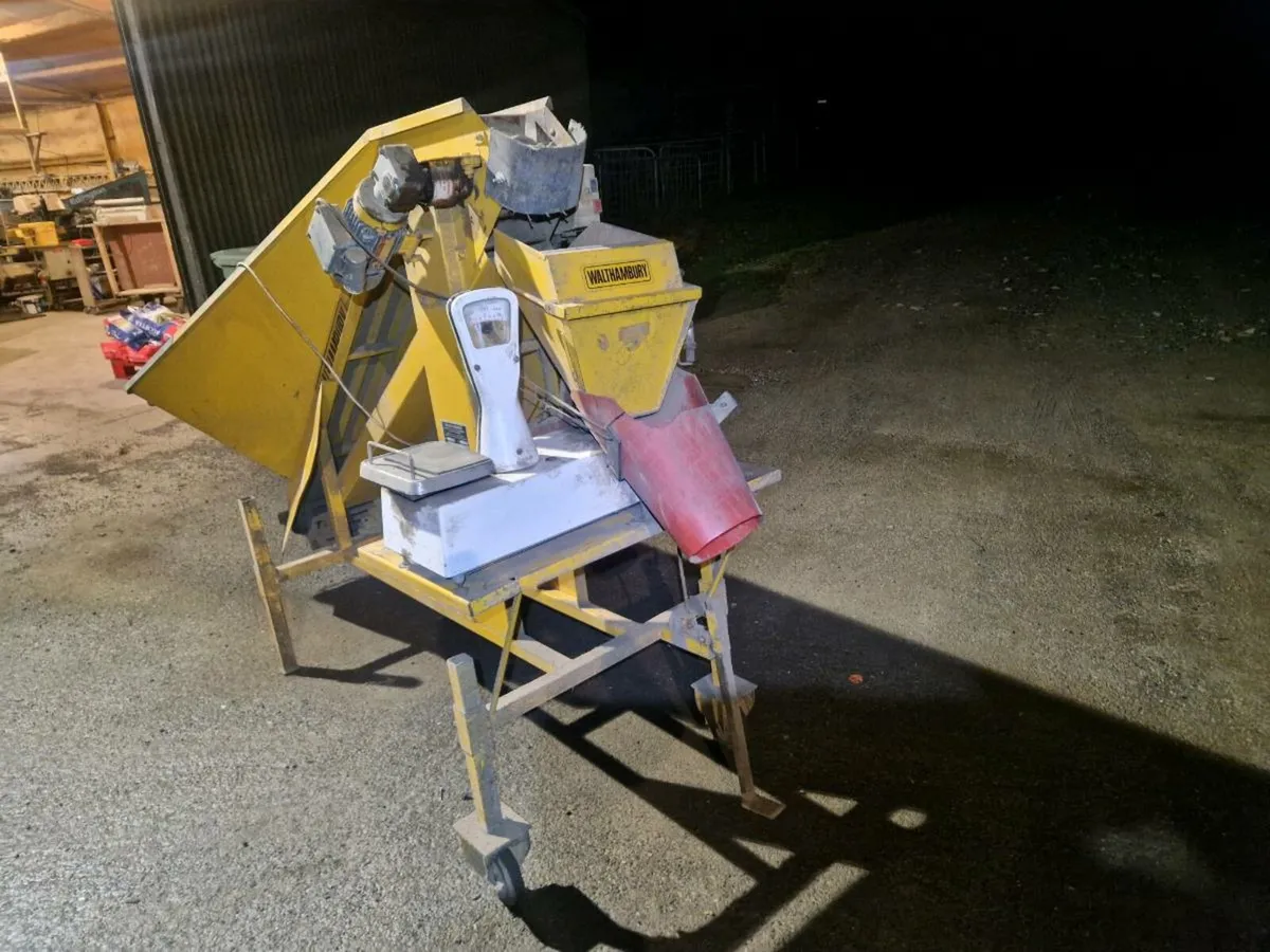 Potato  prepacker scales - Image 2